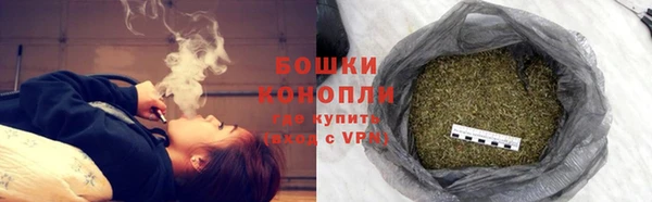 крисы Белокуриха