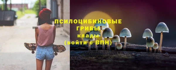 крисы Белокуриха