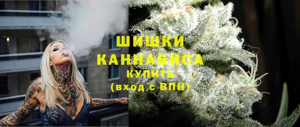 крисы Белокуриха