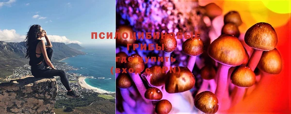 крисы Белокуриха