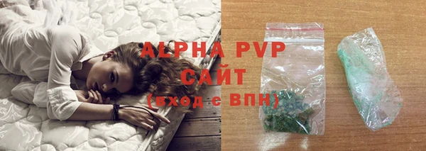 крисы Белокуриха