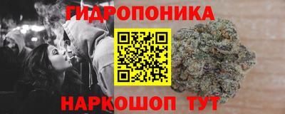 МДПВ Брянск