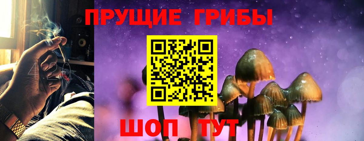 Маркс  Псилоцибиновые грибы прущие грибы  Вход с VPN 